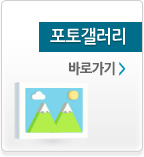 포토갤러리 바로가기